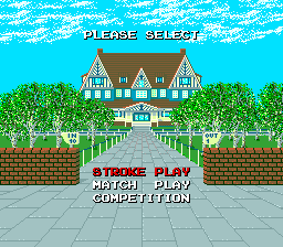 超级高尔夫(美)